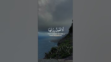 الَّذِينَ صَبَرُوا وَعَلَى رَبِّهِمْ يَتَوَكَّلُونَ|سورة العنكبوت| الشيخ عبدالرحمن مسعد 🌺