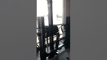Belt Box Squat
