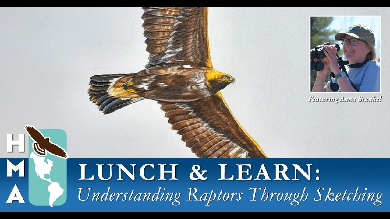 Lunch & Learn Series: Understanding Raptors Through Sketching