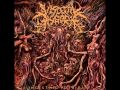 Visceral disgorge  ingesting putridity 2011 full album