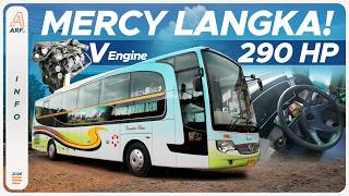 Mengenal Mercy Oh 1829 - Spesies Sasis Langka Bermesin V6