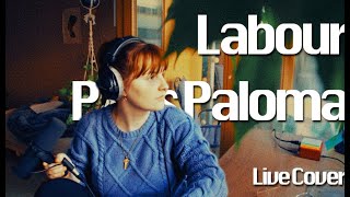 labour (Paris Paloma) - live cover | 2023 diaries