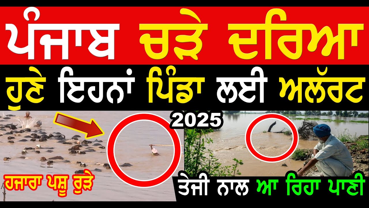 LIVE!! Punjab Flood 2025 Manukhta Di Sewa Report Satluj River - Punjabi Tv Canada