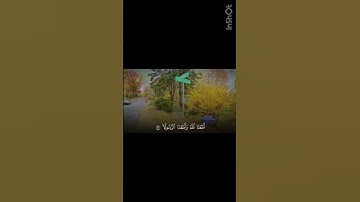 ﴿ يَوْمَ تُقَلَّبُ وُجُوهُهُمْ فِي النَّارِ ﴾ | سورة الاحزاب: ٦٦ | القارئ ياسر الدوسري #قرآن #quran