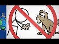 Cultural Expressions Involving Animals