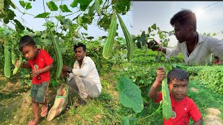 মাঠের থেকে টাটকা সবজি তোলার মজাই একটা আলাদা ||