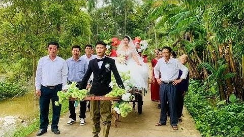 Cây gỗ giá tỵ hay còn có tên khác là cây gỗ Tếch