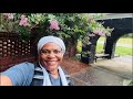 Morning Wisdom Walk, Conversation, Motivation (Episode 11)
