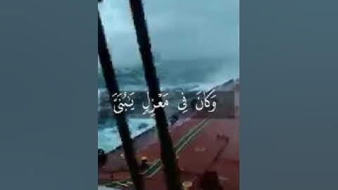 مقطع جميل للقارئ اسلام صبحي وقال اركبوا فيها بسم الله مجراها ومرساها