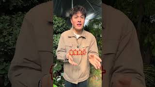 Master Flower Cultivation: Top Tips for Beginners