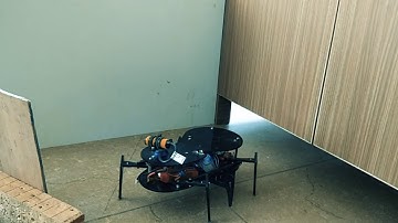 Spyder-  Six legged walking gait