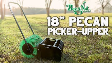 Pick up Pecans Fast With Bag-A-Nut
