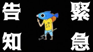 釣りよかでしょうからご報告があります！！
