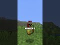 top 5 worst foods in Minecraft!! #minecraft #gaming #shorts #youtubeshorts #viralvideo #foryou #fyp