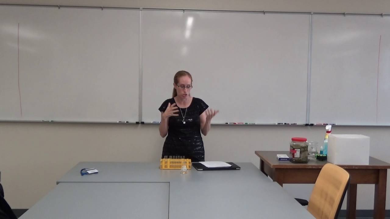 Diffusion Part 1
