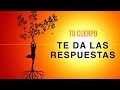 Meditación Guiada para que el Cuerpo TE DE LAS RESPUESTAS QUE ESTÁS BUSCANDO