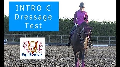 Learn The Intro 3 Dressage Test (2016 Intro C)