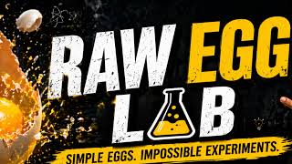 Raw Egg Lab Science Experiments | Satisfying Compilation