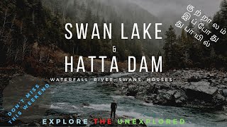 SWAN LAKE * Waterfall * River * Dam *  Drive through Hatta