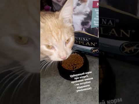 Корм Purina Pro Plan LIVECLEAR, це справжня знахідка, алергія зникла вже після тижня використання.