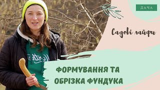 Формування та Обрізка Фундука. Як Виростити Фундук В Україні?