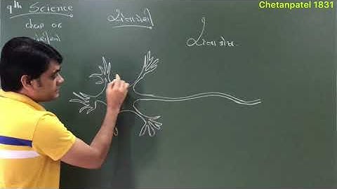 10th Science chap 7 નિયંત્રણ અને સંકલન --- ચેતાકોષ ની રચના in Gujarati by Chetan Patel