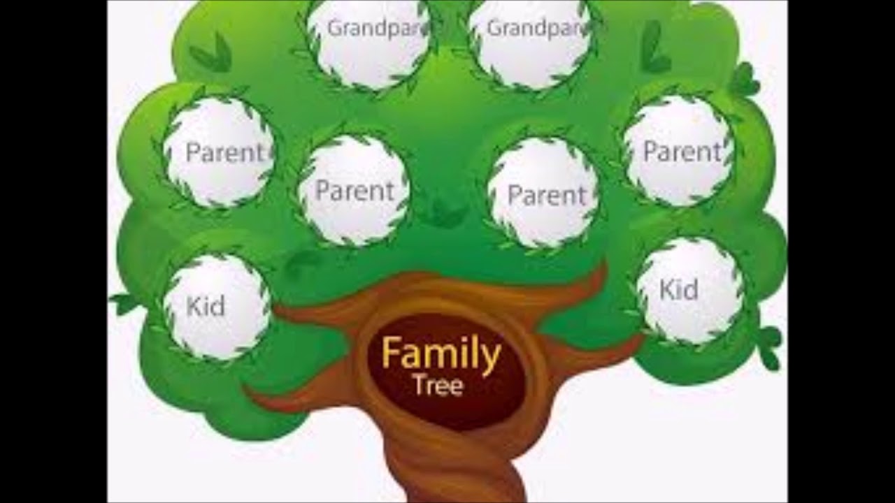 Английский язык дерево проект. Family Tree(семейное Древо). Родословная дерево. Генетическое дерево. Генеалогическое дерево шаблон.