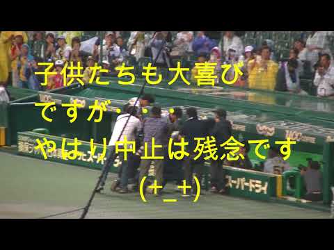 阪神タイガース【北条＆長坂パフォーマンス】２０１８．６.８雨天中止