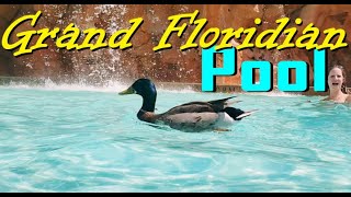 Disney Grand Floridian Pool, Water Slide & Splash Pad