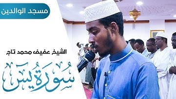 الشيخ عفيف محمد تاج | سورة يٓس | صلاة العشاء بمسجد الوالدين #عفيف_محمد_تاج
