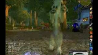 WoW testing game cam and more...