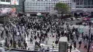 world's largest crosswalk
