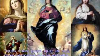 Victoria de Cristo en tu Vida, Guerra Espiritual - Predicas Catolicas 5 de 6