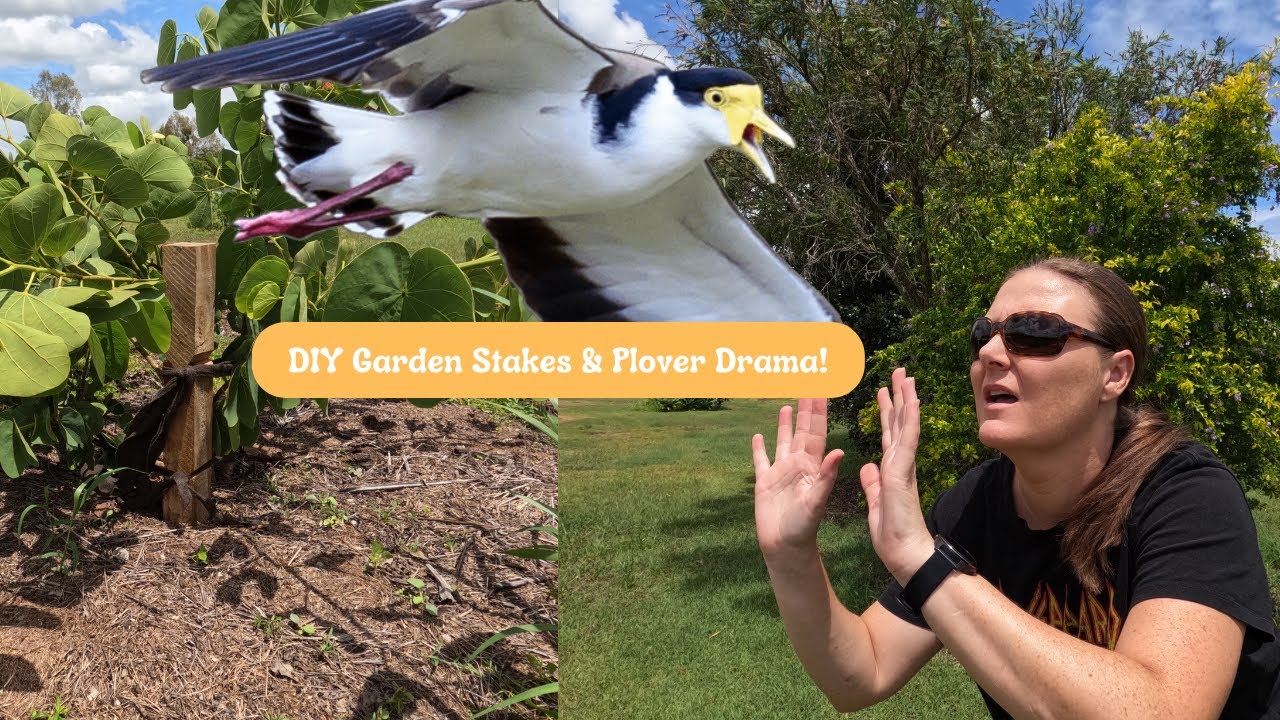 Garden Chaos: DIY Stakes, Angry Plover, and Overgrown Madness! - YouTube