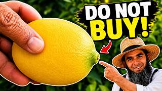 How to Pick a SWEET and JUICY Lemon... 5 Things Most People Miss