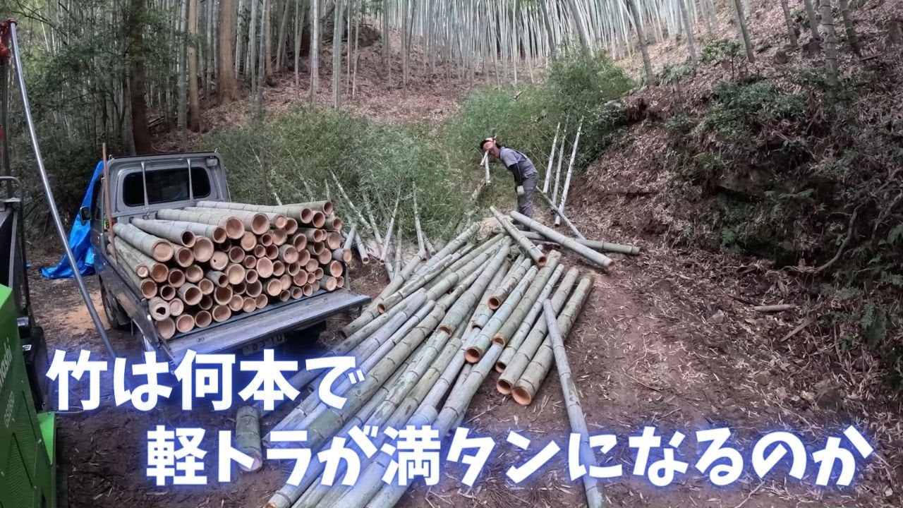 How many bamboos can fit in a light truck? ※Pay attention to the 