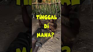 Mereka Bisa Tinggal Di Mana Saja?! #hadzabetribe #sukuhadzabe #hadzabe