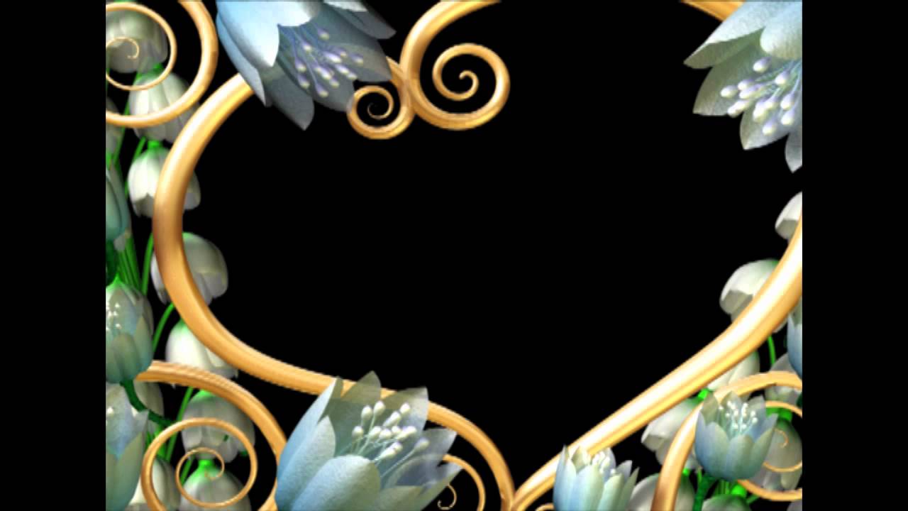 DV Wedding Motion BG Reel.mp4