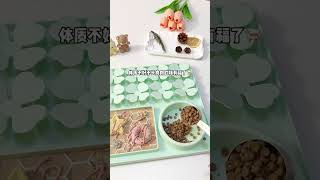 Mastering the Art of Food Prep: My 32nd Day as a Culinary Blogger FoodPrepJourney