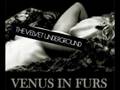 The velvet underground  venus in furs remix