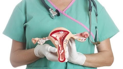 Sức khỏe sinh sản - Xuất huyết tử cung bất thường ( phần 2)