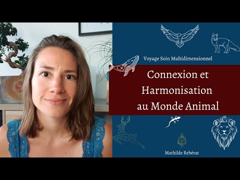 Voyage Multidimensionnel Connexion et Harmonisation au Monde Animal