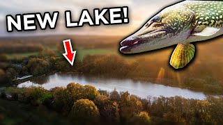 Searching for LEGENDARY Pike with @just_alex by Fish With Carl 396,137 views 1 year ago 18 minutes