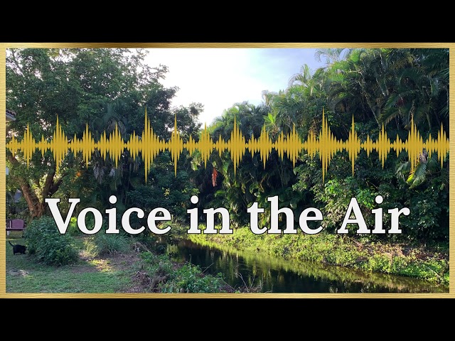 Voice in the Air ~ Quiet Environments