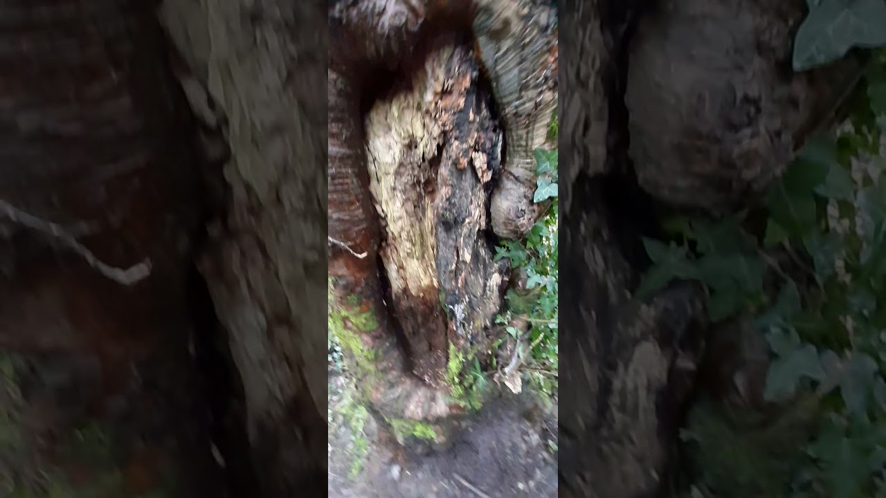 Eaglebush Lane In The melyn neath YouTube