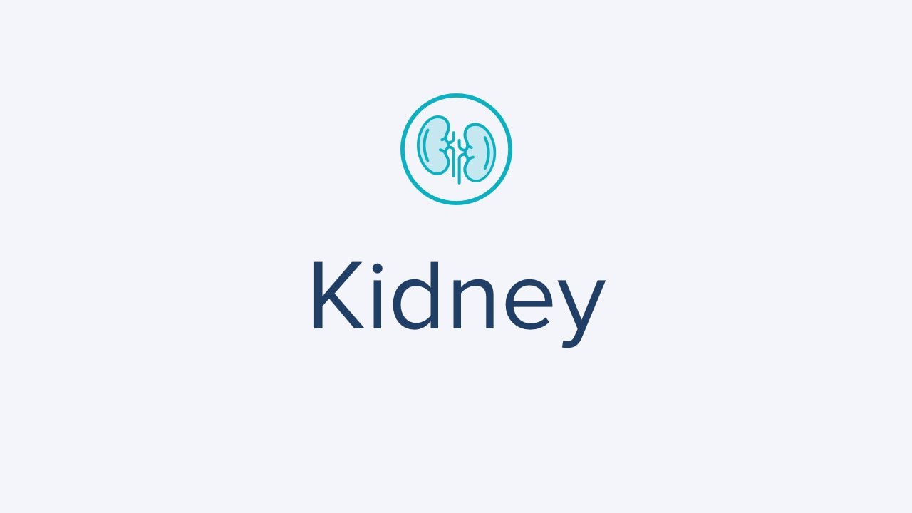AtHome Kidney Test for Monitoring Kidney Function and Performance for