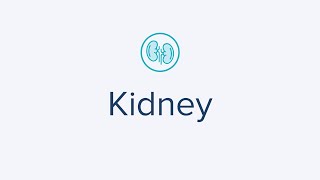 At-Home Kidney Test for Monitoring Kidney Function and Performance for a healthy you. screenshot 2
