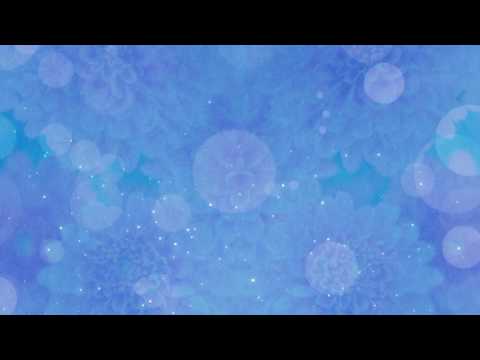 Blue Floral Bokeh - HD Video Background Loop