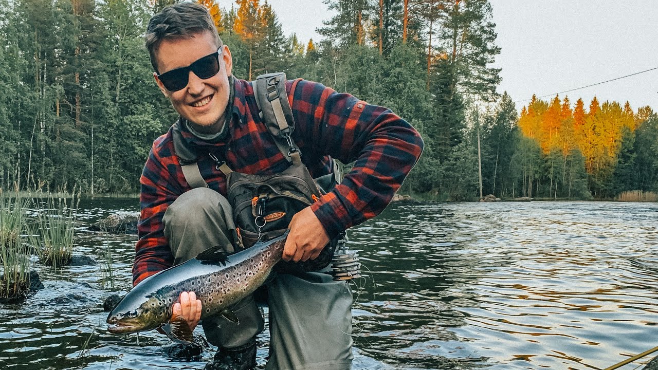 UNOHTUMATON ILTASYÖNTI | Kaikkien aikojen kalastuskesä 1/4 (Taimenen perhokalastus, Kärnänkoski)