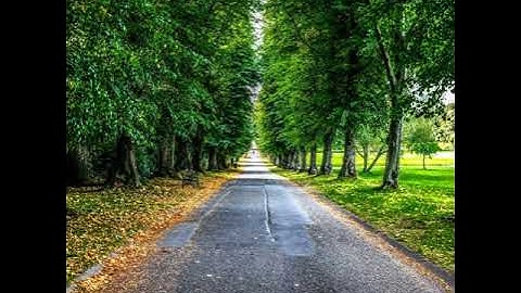 سورة الملك بصوت عجيب خاشع تهز القلوب للقارئ فاتح سافرجيك